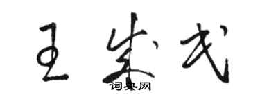 骆恒光王成民草书个性签名怎么写