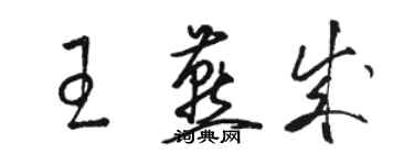 骆恒光王燕成草书个性签名怎么写