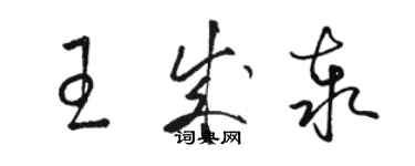 骆恒光王成泰草书个性签名怎么写