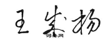 骆恒光王成杨草书个性签名怎么写