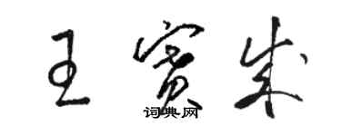 骆恒光王赛成草书个性签名怎么写