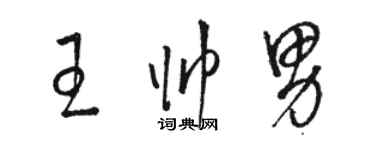 骆恒光王帅男草书个性签名怎么写