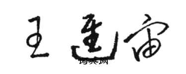 骆恒光王进宙草书个性签名怎么写