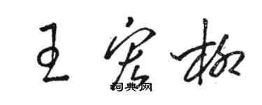 骆恒光王宏柳草书个性签名怎么写