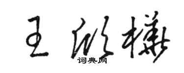 骆恒光王欣桦草书个性签名怎么写