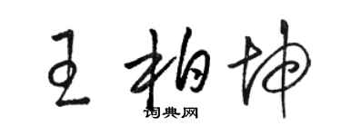 骆恒光王柏坤草书个性签名怎么写
