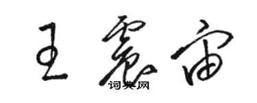 骆恒光王震宙草书个性签名怎么写