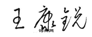 骆恒光王康锐草书个性签名怎么写