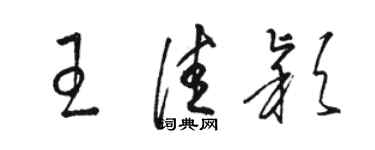 骆恒光王佳颖草书个性签名怎么写