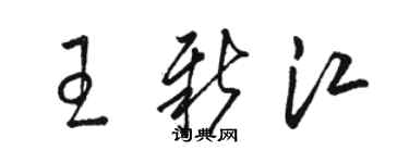 骆恒光王新江草书个性签名怎么写