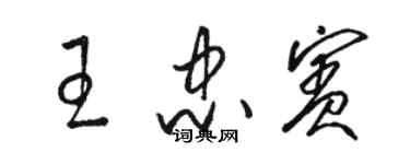 骆恒光王忠宾草书个性签名怎么写