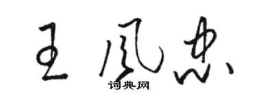 骆恒光王风忠草书个性签名怎么写