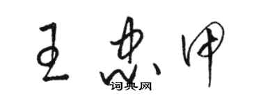 骆恒光王忠甲草书个性签名怎么写