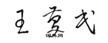 骆恒光王庆民草书个性签名怎么写