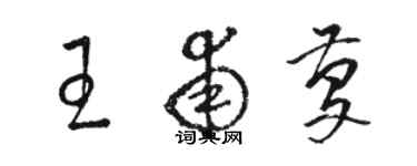 骆恒光王甫庆草书个性签名怎么写