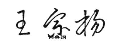 骆恒光王宗杨草书个性签名怎么写