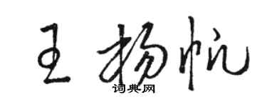 骆恒光王杨帆草书个性签名怎么写