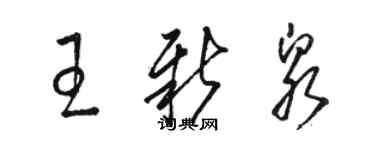 骆恒光王新泉草书个性签名怎么写