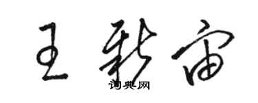 骆恒光王新宙草书个性签名怎么写