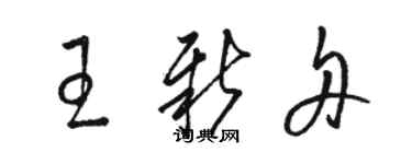 骆恒光王新舟草书个性签名怎么写