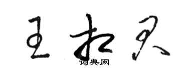 骆恒光王相君草书个性签名怎么写