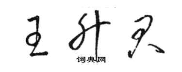 骆恒光王升君草书个性签名怎么写