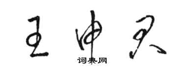 骆恒光王申君草书个性签名怎么写
