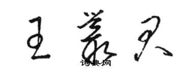 骆恒光王丛君草书个性签名怎么写