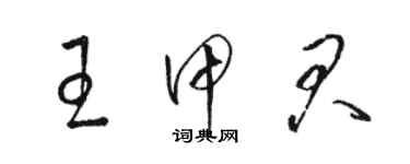 骆恒光王甲君草书个性签名怎么写