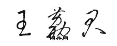 骆恒光王荔君草书个性签名怎么写