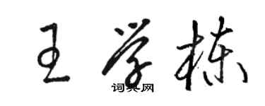骆恒光王学栋草书个性签名怎么写