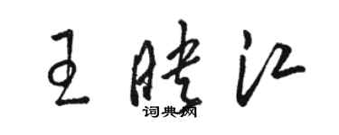 骆恒光王映江草书个性签名怎么写
