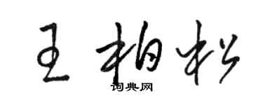 骆恒光王柏松草书个性签名怎么写