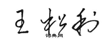 骆恒光王松利草书个性签名怎么写