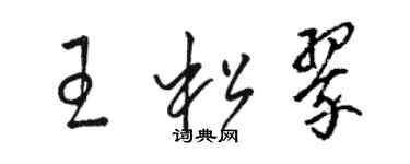 骆恒光王松翠草书个性签名怎么写