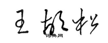 骆恒光王胡松草书个性签名怎么写