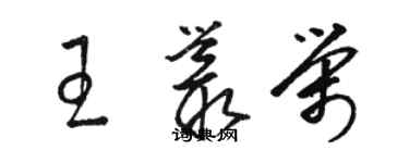骆恒光王丛荣草书个性签名怎么写