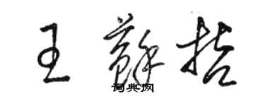 骆恒光王苏哲草书个性签名怎么写