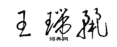 骆恒光王瑞丽草书个性签名怎么写