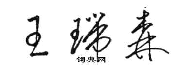 骆恒光王瑞森草书个性签名怎么写