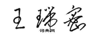 骆恒光王瑞密草书个性签名怎么写