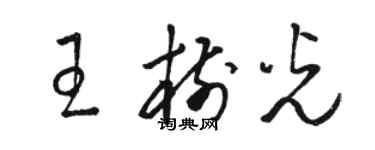 骆恒光王树光草书个性签名怎么写