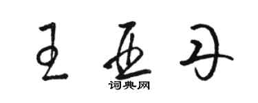 骆恒光王亚丹草书个性签名怎么写