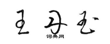 骆恒光王丹玉草书个性签名怎么写