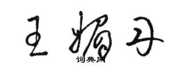 骆恒光王媚丹草书个性签名怎么写