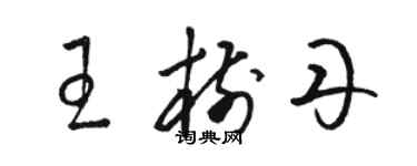 骆恒光王树丹草书个性签名怎么写
