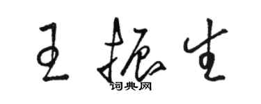 骆恒光王振生草书个性签名怎么写