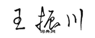 骆恒光王振川草书个性签名怎么写