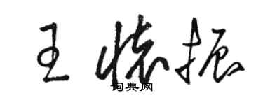 骆恒光王怀振草书个性签名怎么写