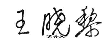 骆恒光王晓黎草书个性签名怎么写